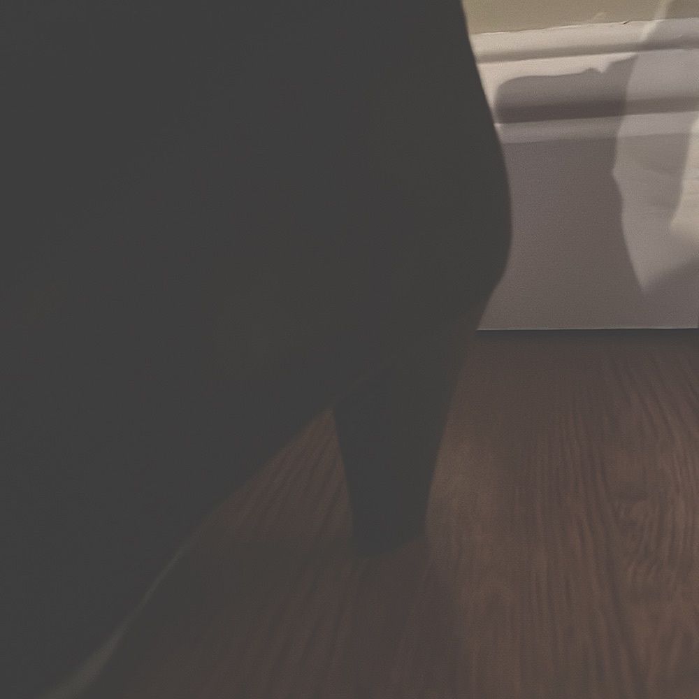 La Canadienne Brown Suede Boots - Picture 5 of 6